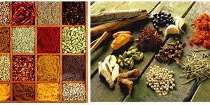 Indian Spices
