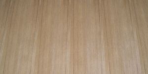 Teak Veneer