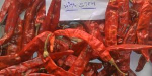 334 Sannam4 Red Chilli