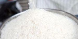 Non Basmati Rice