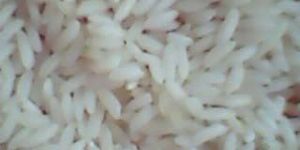 Sona Masuri Rice