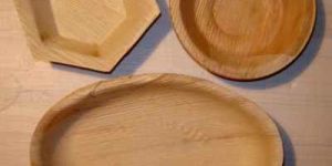 Areca Leaf Plates