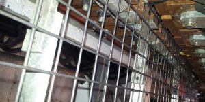 Reinforcement Welded Wire Meshes