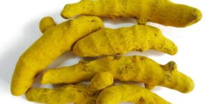 Turmeric Fingers