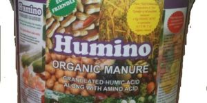 Granulated Organic Manure