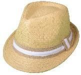 Fashion Hats