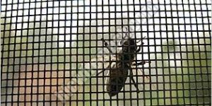 Mosquito Proof Screen