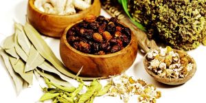 Ayurvedic Products
