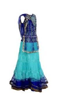 Embroidered Lehnga Choli