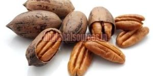 PECAN NUTS