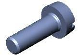 Slotted Cheese Head Screw