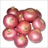 Red Onion