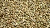 Robusta Green Coffee