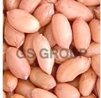 Groundnut Kernels