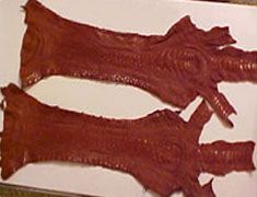 Emu Skin
