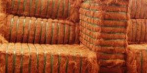 Coir Fiber