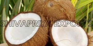 Indian Coconut