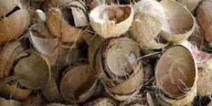 Coconut Shells