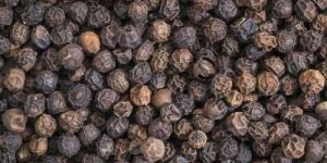 Black Pepper Seeds