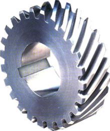 Spur Gears