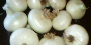 White Onions