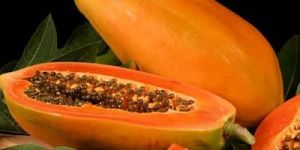 Fresh Papaya