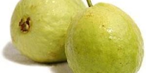 Guava