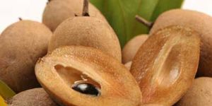 Sapota