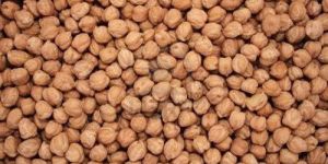 White Chickpeas
