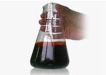 Cashew Nut Shell Liquid