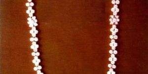 Diamond Studded Necklaces