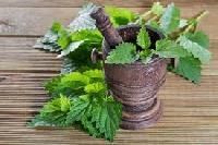 Herbal Veterinary Medicine