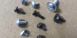 Stainless Steel Screws
