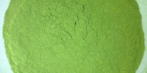 Alfalfa Leaves Powder