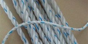 PP Danline Rope