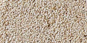 Natural Sesame Seeds