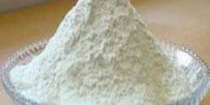 White Onion Powder