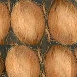 Semi Husked Coconuts