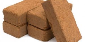 Agrihypermart Coco Peat 650 Gm Block
