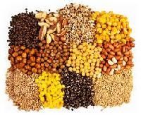 Organic Pulses