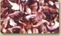Red Chopped Onions