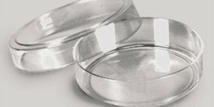 Petri Dishes