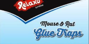 Glue Rat Pad