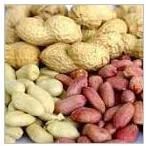 Groundnuts