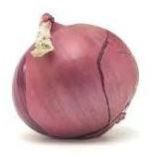 Onion