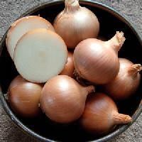 Organic Onion