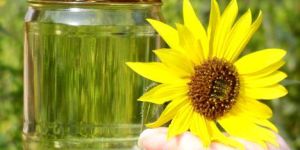 Sunflower Oil