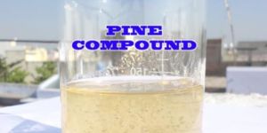 Pine Compound