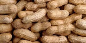 Groundnut, Peanut