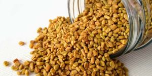 Fenugreek Seeds